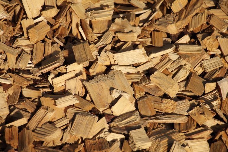 Do You Soak Wood Chips Before Smoking?