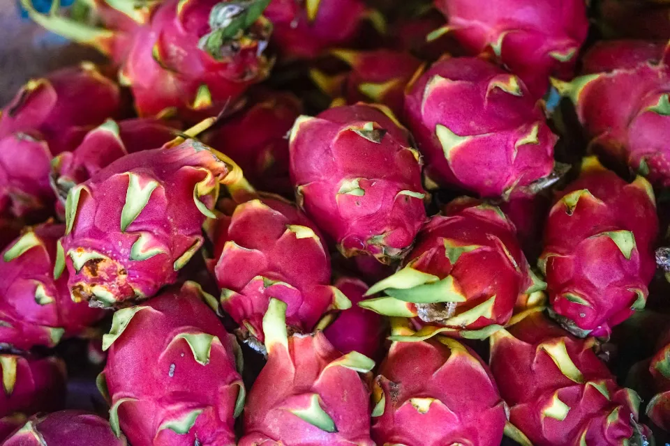 How to Tell If a Dragon Fruit is Bad? Tips